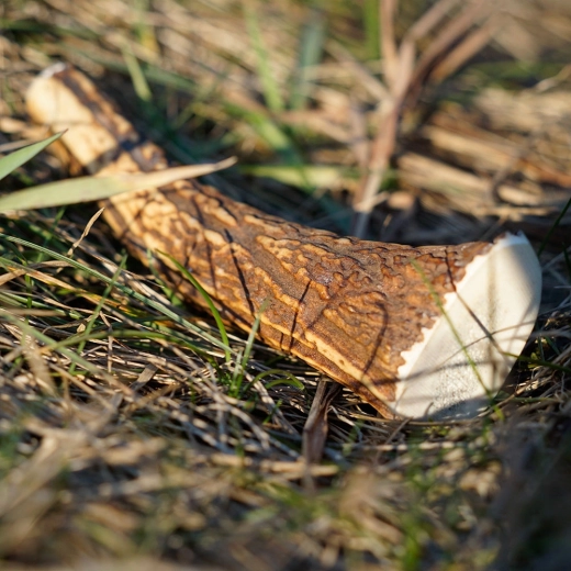 Produs sustenabil și natural