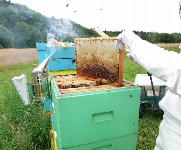 Ajutor ideal la recoltarea mierii