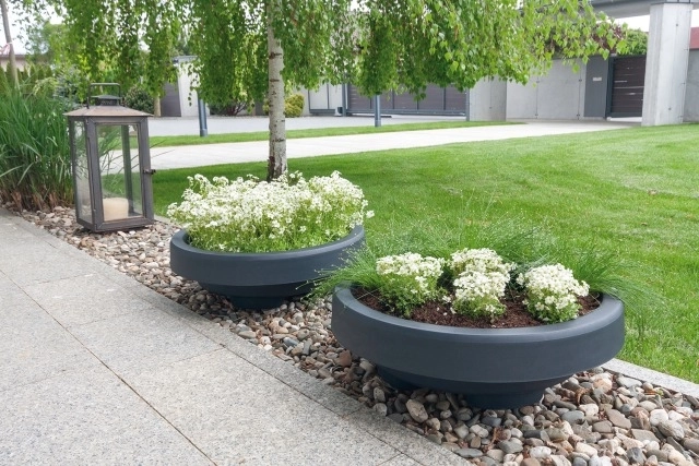 Aspect estetic pentru orice grădină