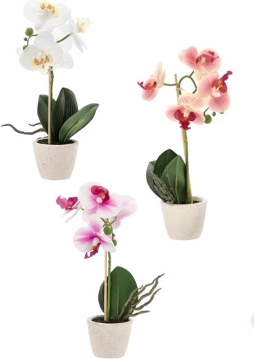 Mix de trei culori elegante