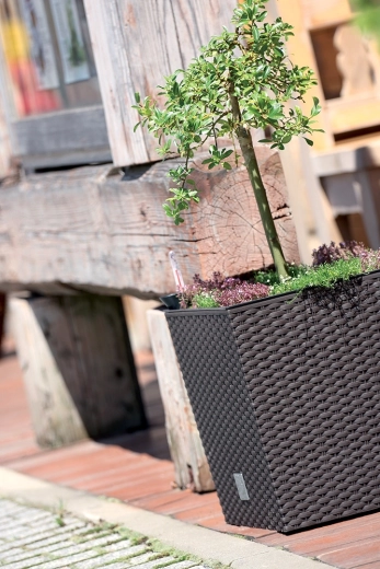 Rezistență pentru interior și exterior