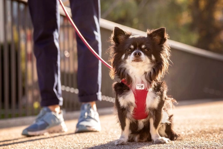 Air-Mesh respirabil cu efect de răcire