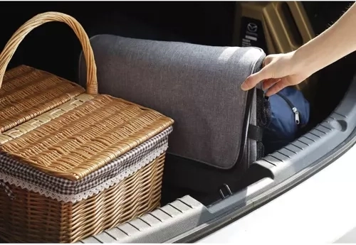 Transport confortabil în călătorii