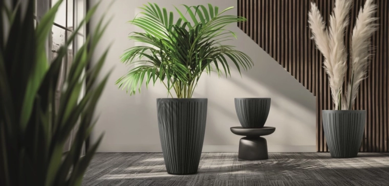 Formă înaltă elegantă pentru plante expresive