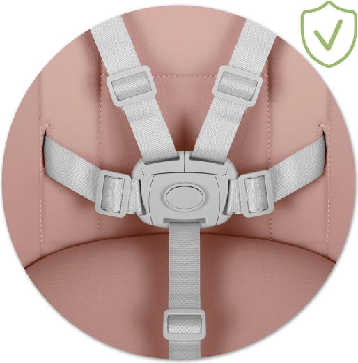 Siguranță maximă cu centură în 5 puncte