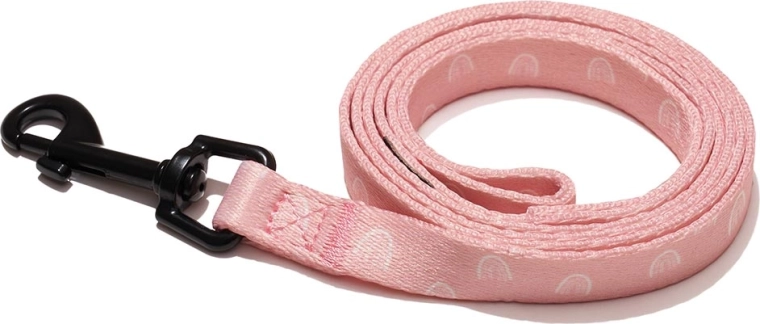 Lesă pentru câini Explorer Dog Curcubeu S 120 × 1,5 cm