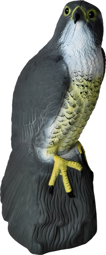 Detalii realiste pentru eficiență sporită