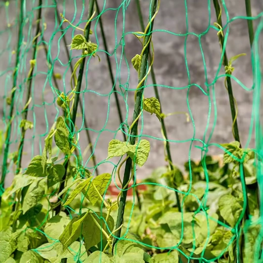 Suport vertical pentru o recoltă bogată