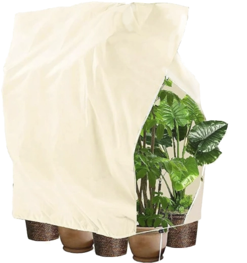 Husă de protecție de iarnă pentru plante cu șnur de strângere 2 × 2,4 m, 80 g, bej