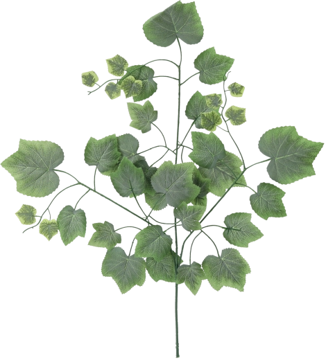 Set de crengi artificiale cu frunze de viță-de-vie, verzi, 78 cm – 12 buc