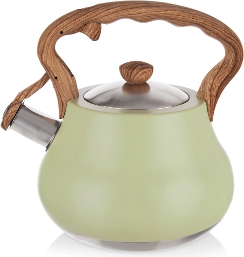 Ceainic fluierător din inox GREENISH 3 l