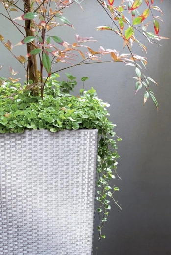 Inserție interioară pentru plantare și întreținere ușoară