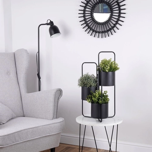 Trei niveluri pentru expunerea eficientă a plantelor