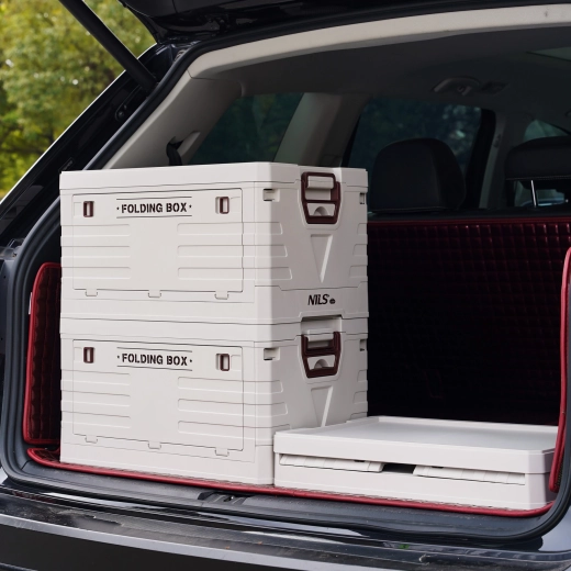 Ordine în mașină și în călătorii