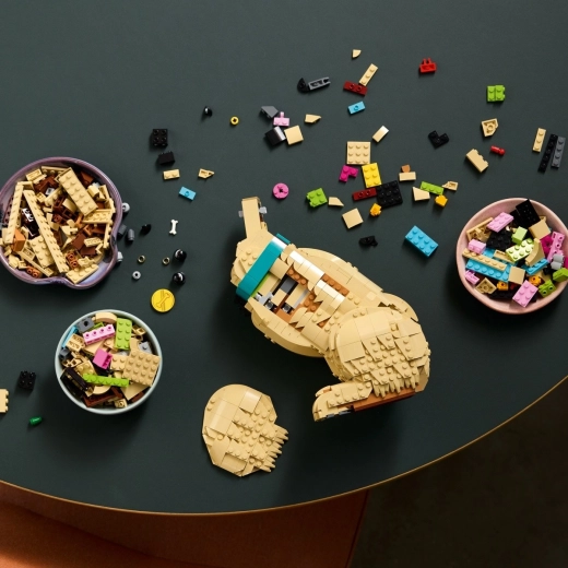 Construcție distractivă cu ghid 3D