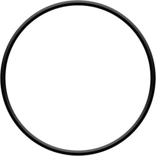 O-ring de etanșare pentru capul filtrării ProStar 4 și ProStar 6