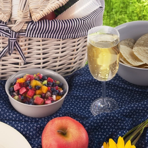 Alegere ușoară pentru picnic și călătorii