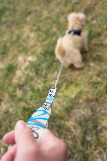 Carabinieră din oțel inoxidabil, rezistentă