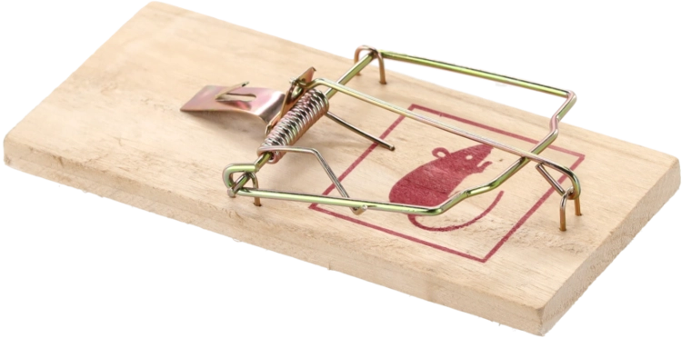 Bază din lemn rezistentă