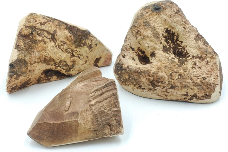 Ideală pentru diverse nevoi ale câinilor