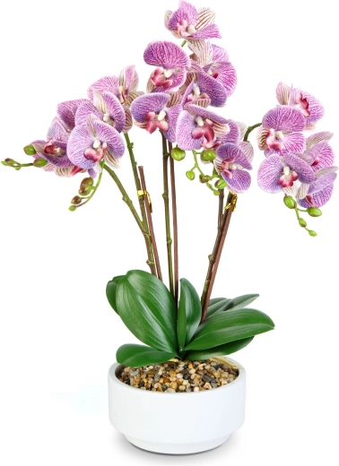Ghiveci decorativ