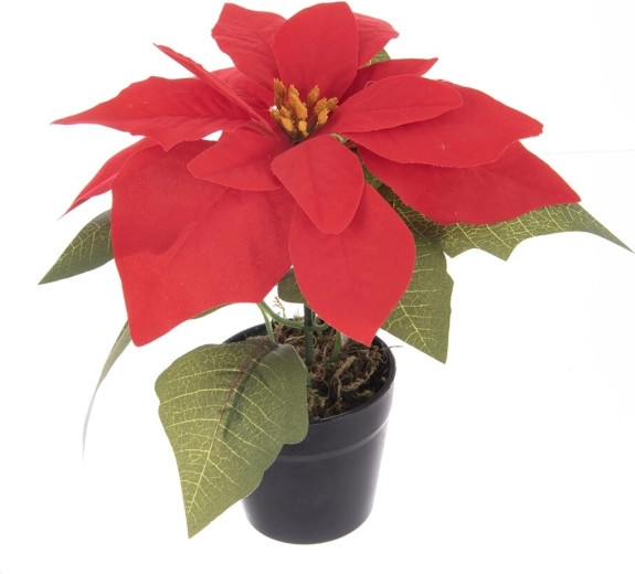 Floare artificială de Crăciun (poinsettia) în ghiveci, roșie 19 cm