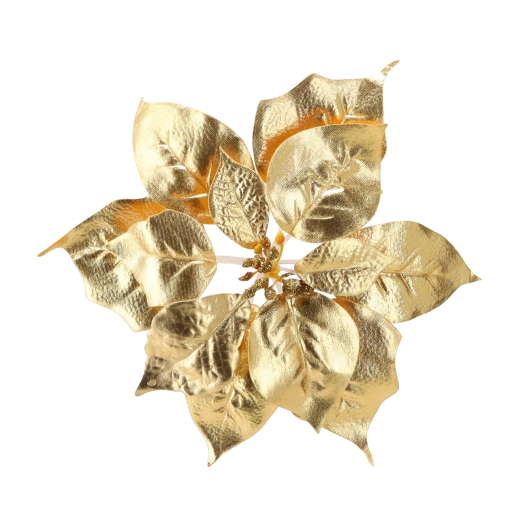 Aspect realist și detalii ale frunzelor