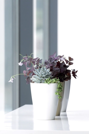 Accesoriu stilat pentru interior și balcon