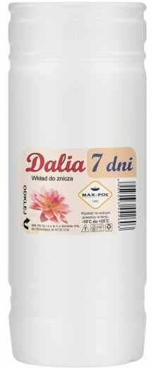 Set 10 inserturi din parafină Dalia 19 cm (168 h)