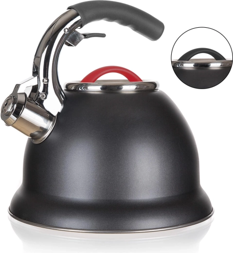 Ceainic din inox cu fluier ADVANTAGE 2,7 l