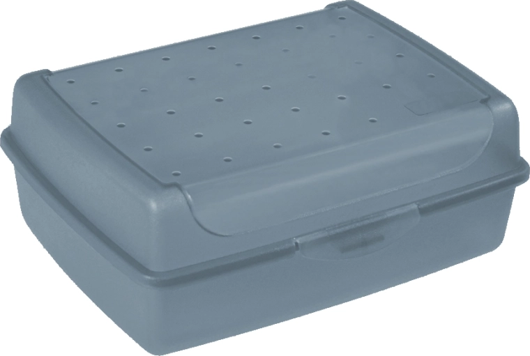 Luca Click Box MIDI cutie din plastic cu capac 1 l, albastră