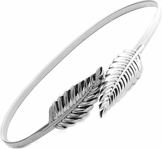 Bq53h curea de damă 68-100cm argintie