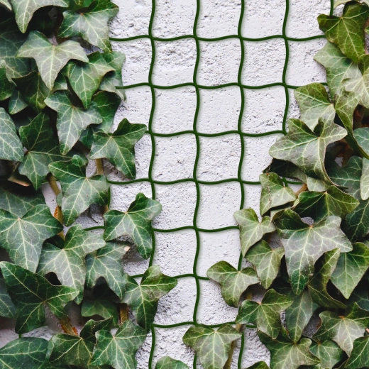 Plasă pentru plante cățărătoare 5 m x 50 cm, decupabilă, verde închis