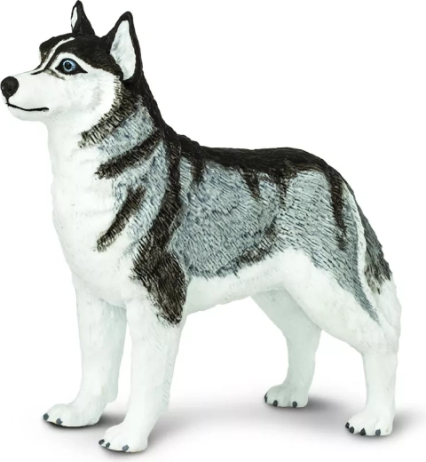 Safari Ltd. figurină husky siberian - 1 bucată