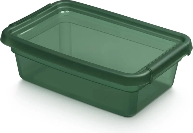 BASESTORE cutie de depozitare din plastic cu capac și cleme 3 l PINE