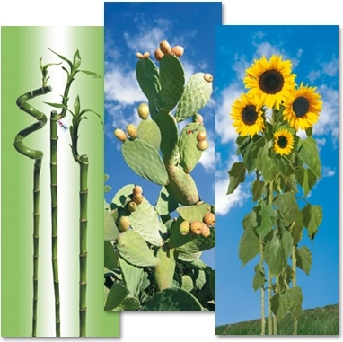 Husă din bumbac pentru masă de călcat Gimi i love S/M 129 × 48 cm
