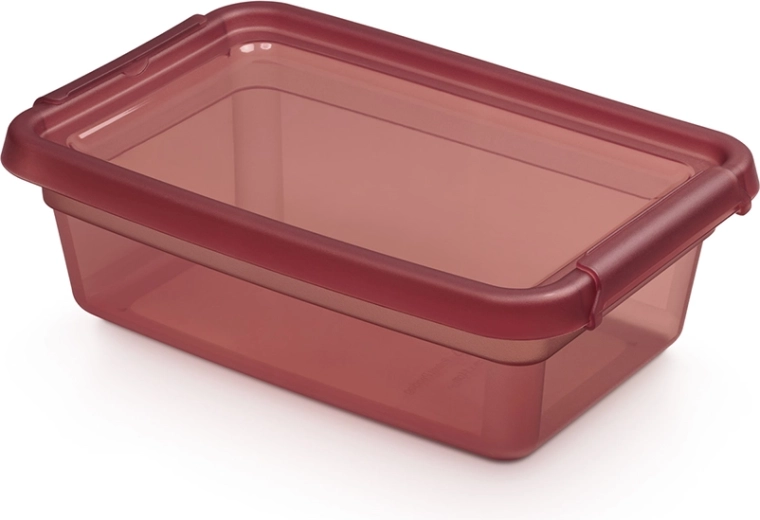 Basestore cutie de depozitare cu capac și cleme 3 l, 19 × 28 × 9 cm, rhubarb