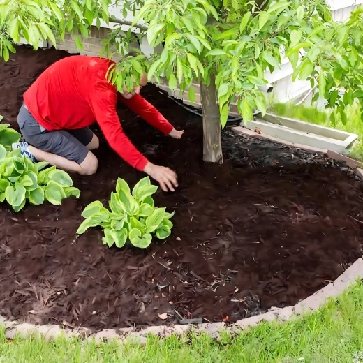 Textilă de grădină anti-buruieni 70 g/m², 1,1 × 50 m, neagră, stabilizată UV