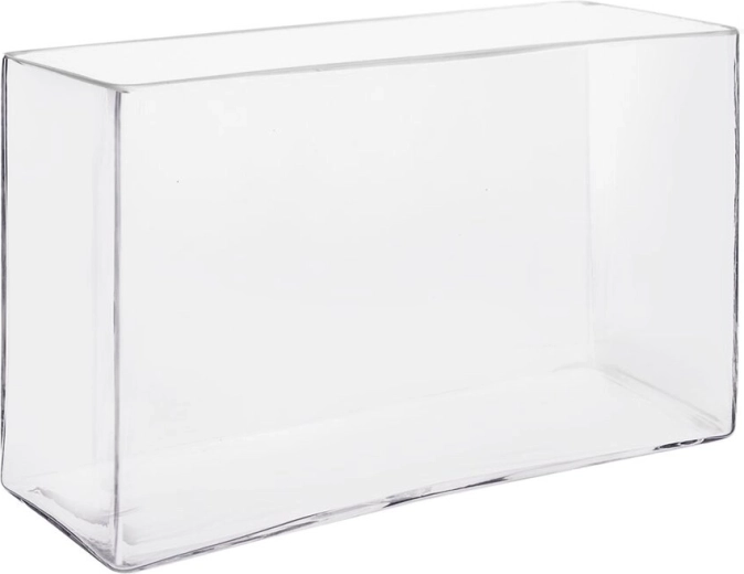 Vază din sticlă transparentă 24,5 × 8 × 15,5 cm
