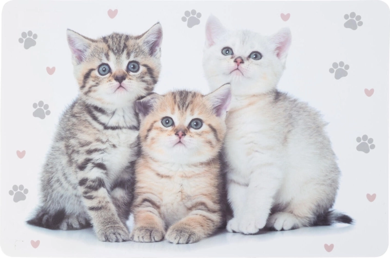 Set de masă din plastic pentru copii cu animale 43,5 × 28,5 cm