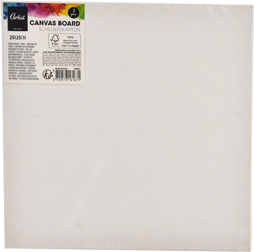 Pânză pentru pictură 25 × 25 cm, set 3 buc.