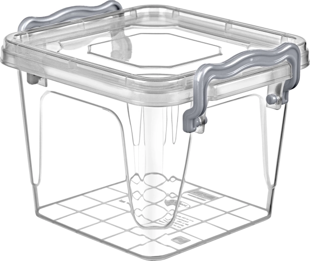 Recipient pentru alimente Multi Box 0,55 l cu cleme