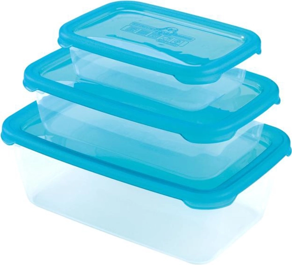 Cutii din plastic cu capac HEIDRUN Polar Frost, set 3 buc