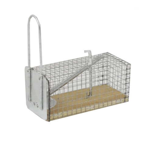 Capcană umană pentru șoareci și șobolani 11 × 5,5 × 5,5 cm
