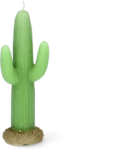 Lumânare în formă de cactus 17,5 cm – lumânare decorativă din parafină