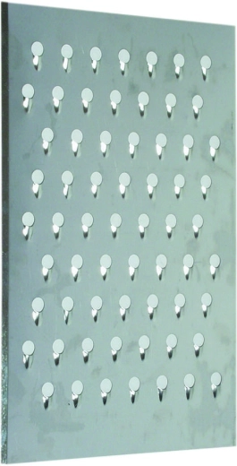 Placă de schimb pentru răzătoare de sfeclă 210 × 320 mm