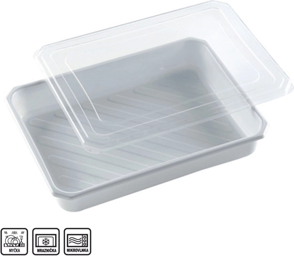 Cutie din plastic (PP) dreptunghiulară 4 l