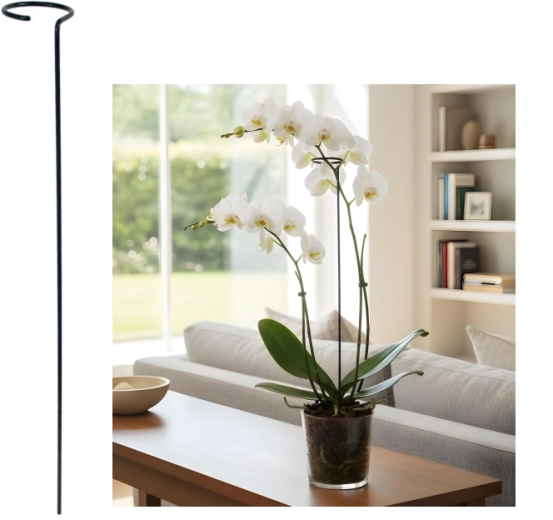 Suport simplu pentru plante 60 cm