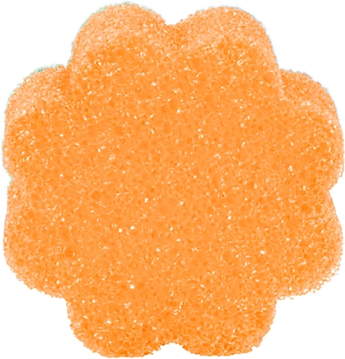 Super Scrubby burete pentru vase 10 × 10 × 4 cm