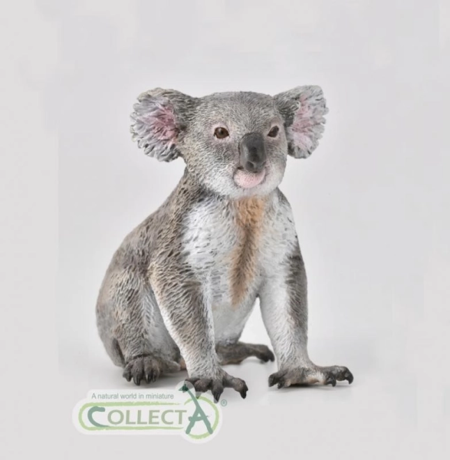 Colecția Koala